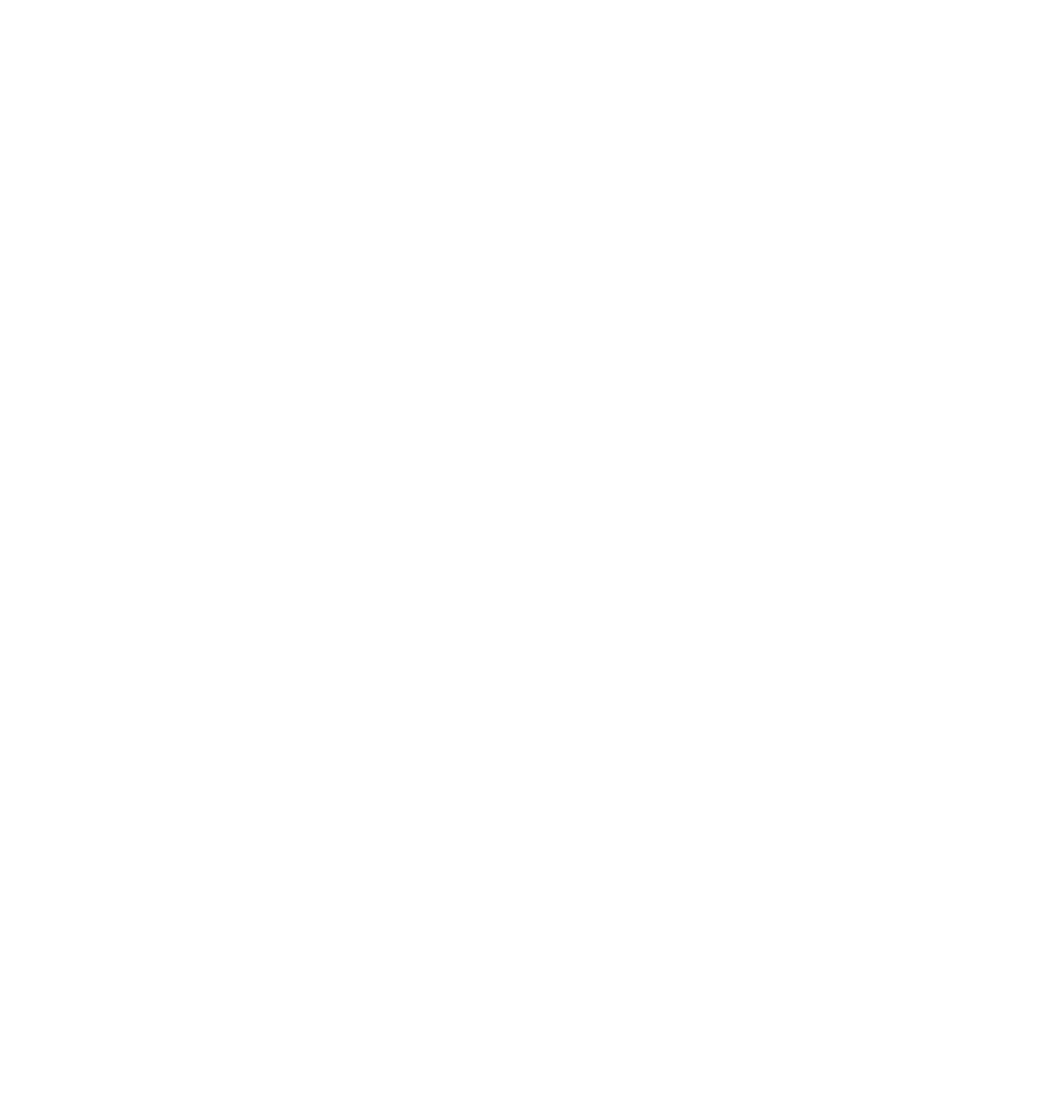 Logotipo do IVIS - Instituto Visual de Inclusão Social